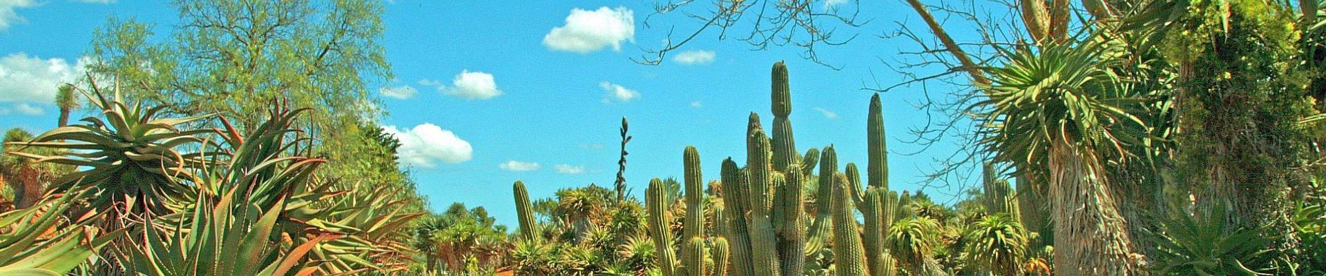 Genießer - Reise Mallorca - Soller Botanischer Garten