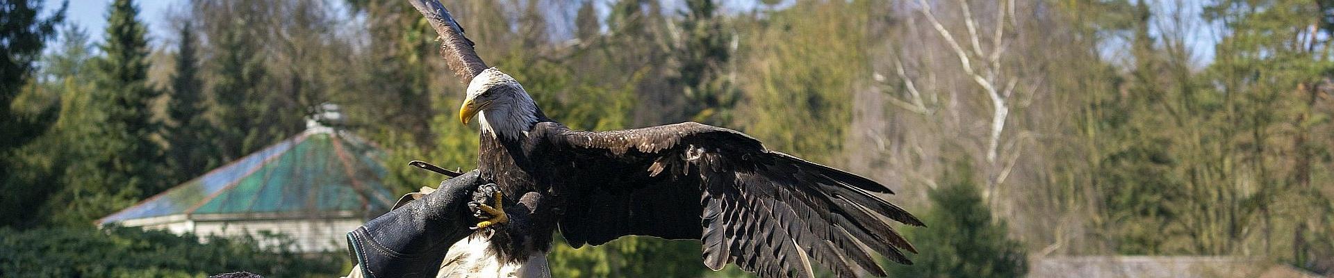 Zum Vogelpark nach Walsrode - Tagesfahrten im März 2026