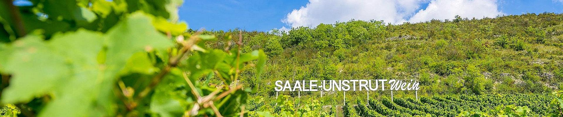Weinberge Saale-Unstrut © Christoph Keller
