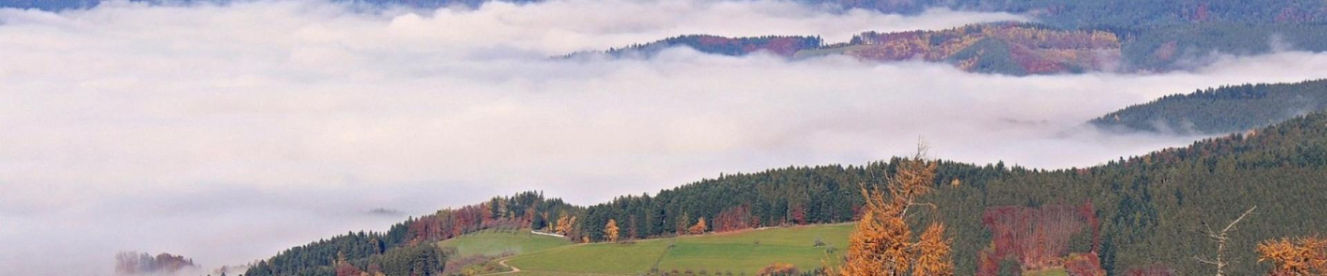 Reise zur Laubfärbung im Schwarzwald