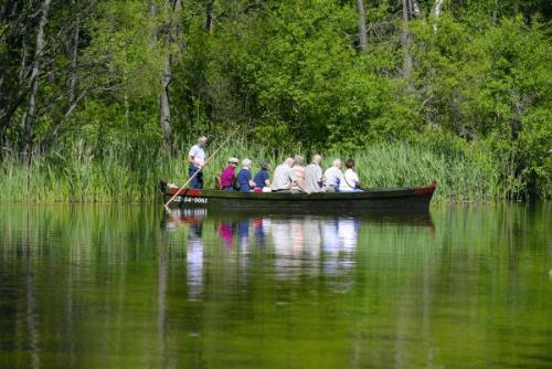 Stakenbootfahrt auf der Kruttinna