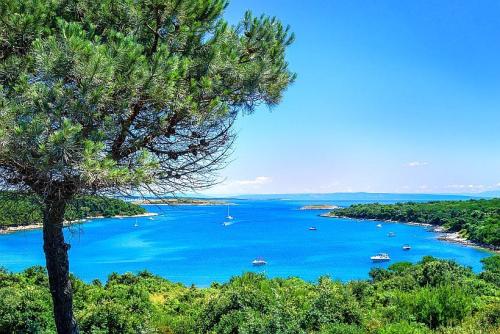 Frühling an der Adria © Liggraphy auf Pixabay