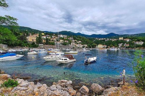 Hafen auf Istrien © Mario Cvitkovic aif Pixabay