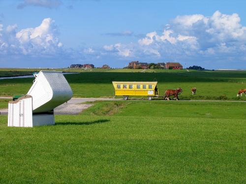 Hallig Hooge © Touristikbüro Hallig Hooge