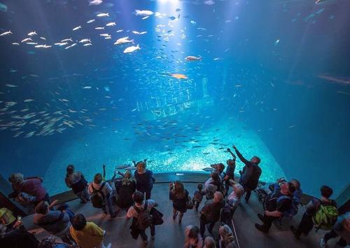 Ozeaneum Stralsund - Saisonabschlussreise auf die Insel Rügen