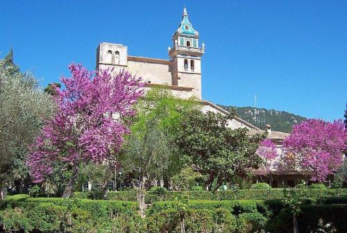Ostern auf Mallorca - Flugreise ab Hannover © Anja auf pixabay