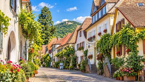 Rhodt unter Riedburg - Frühlingsreise zur Mandelblüte in der Pfalz