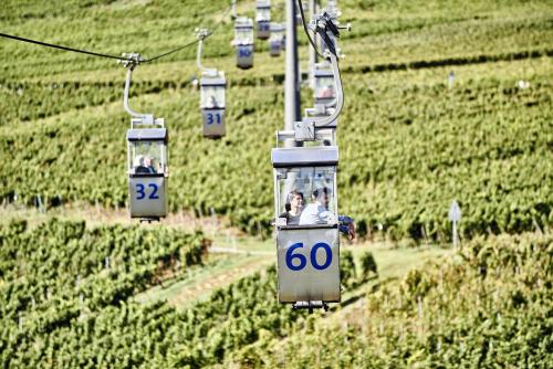 Seilbahn zum Niederwalddenkmal - über Reben schweben