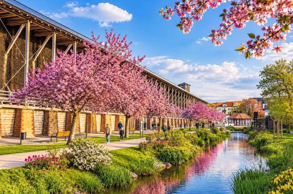 Frühlingsreise zur Mandelblüte in der Pfalz 17.03.-21.03.2027 DE