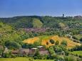 Blick auf Freyburg und die Weinberge © Wolfgang Kubak