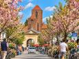 Frankenthal - Frühlingsreise zur Mandelblüte in der Pfalz
