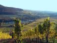 Indian Summer in Franken © Klaus Stebani auf Pixabay