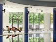 Hotel Interferie Medical Spa - Innenpool - Kururlaub in Swinemünde