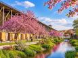 Kurpark Bad Dürkheim - Frühlingsreise zur Mandelblüte in der Pfalz