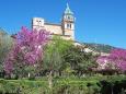 Ostern auf Mallorca - Flugreise ab Hannover © Anja auf pixabay