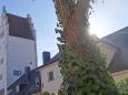 Taschenturm © Tourist Info Ingolstadt