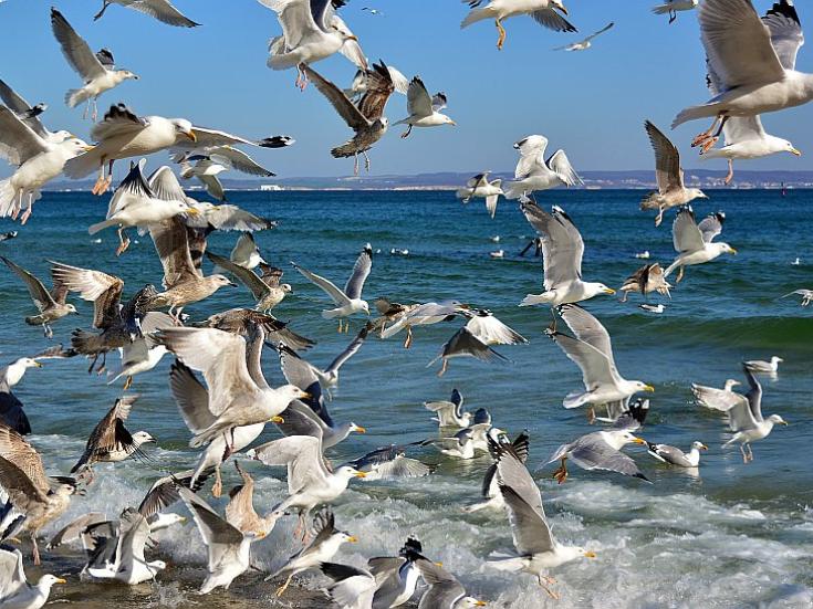 An der ostsee © Juergen auf Pixabay