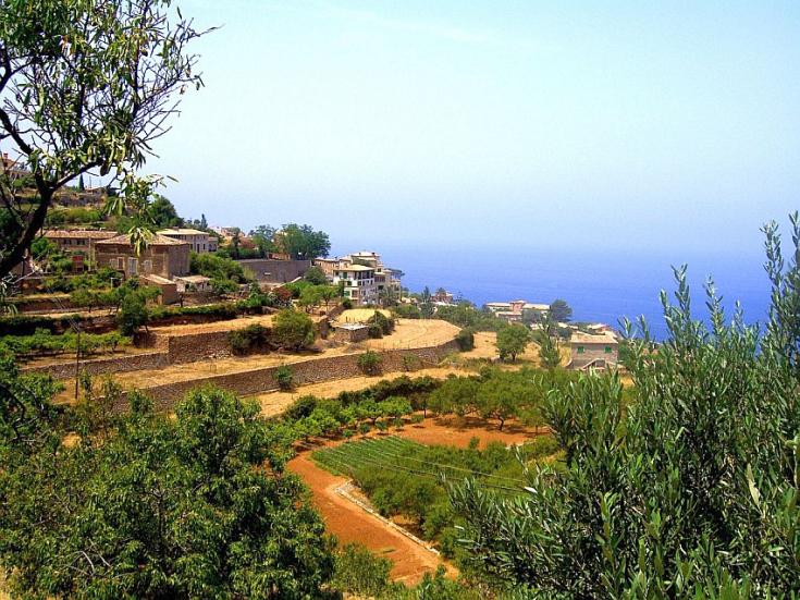 Bayalbufar Terrassengarten © Congaman cc by-sa 3.0