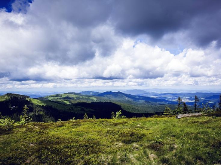 Bayerischer Wald © Markus Spiske auf Pixabay