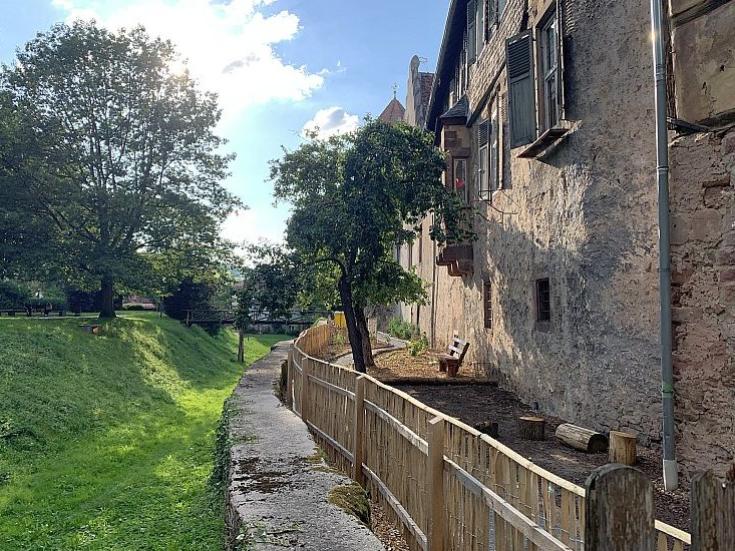Beerengarten Michelstadt © Kulturamt Michelstadt