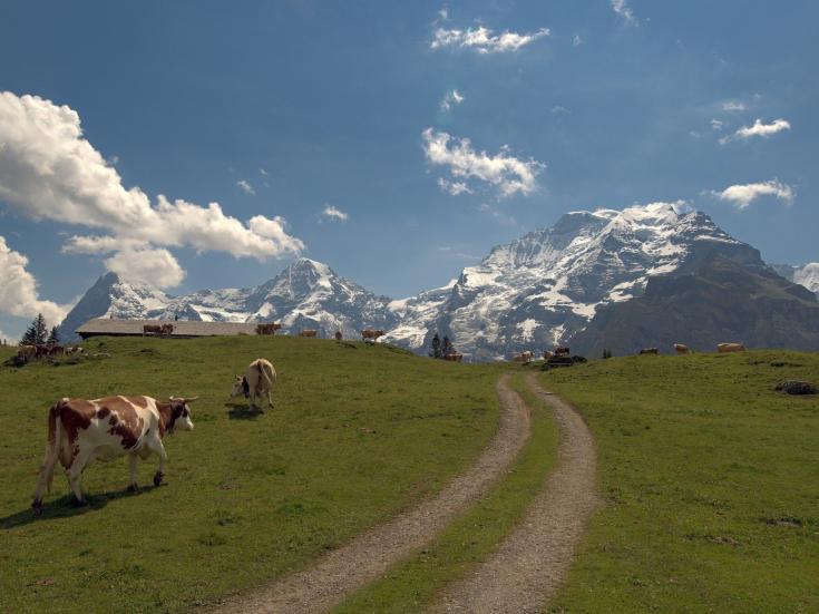 Blick zum Jungfraujoch © Pixabay
