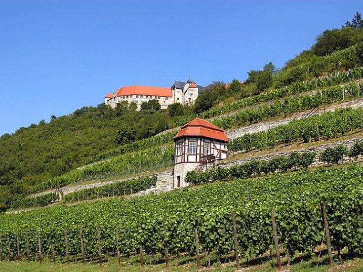 Die Neuenburg bei Freyburg © Saale-Unstrut-Tourismus e.V.
