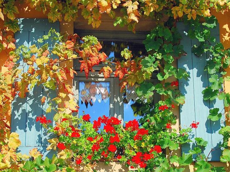 Fenster im Fränkischen Weinland