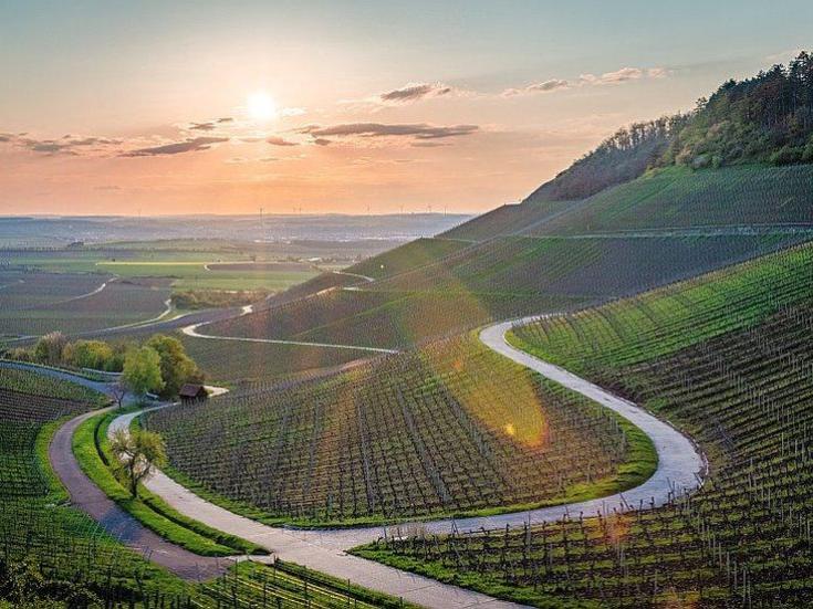 Fränkisches Weinland © Jan Schneller auf Pixabay