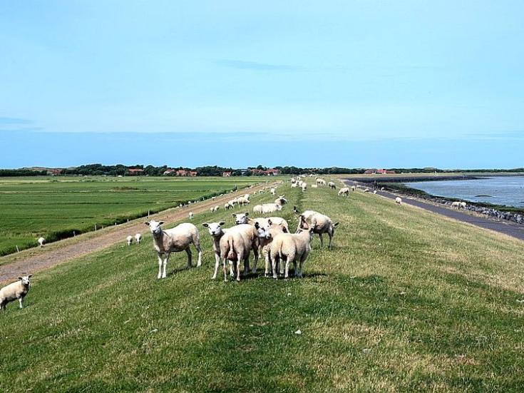 Friesland © Kobus van Leer auf Pixabay