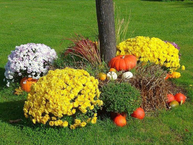 Gartenschau © Falko Fröhlich auf Pixabay