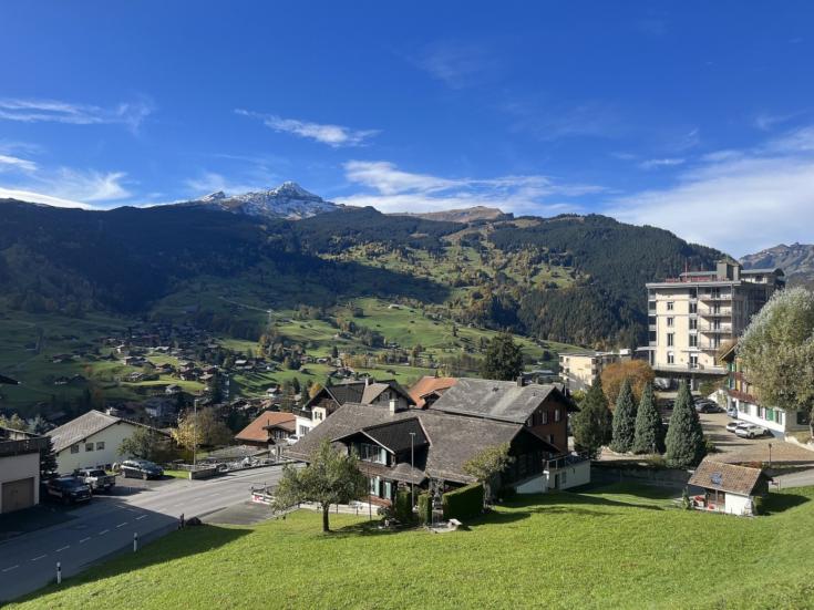 Grindelwald am Jungfraujoch © desertwolf2577 auf Pixabay