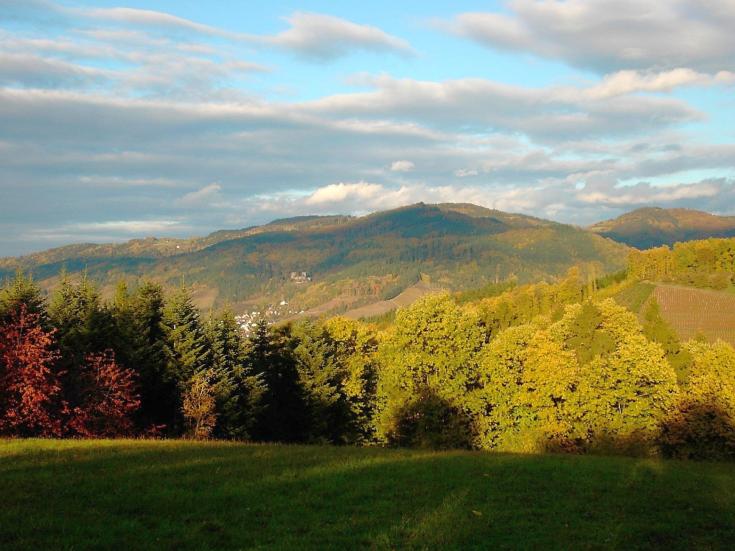 Herbstlicher Schwarzwald © Erge auf Pixabay