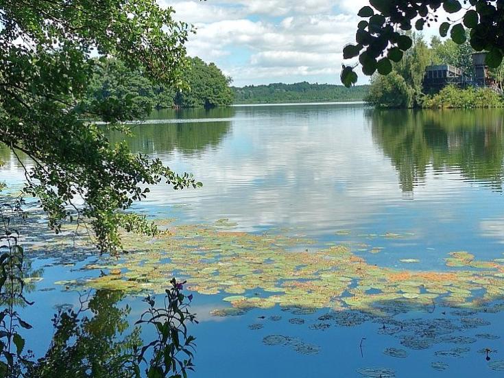 Holsteinische Seenplatte © Stephanie Albert auf Pixabay