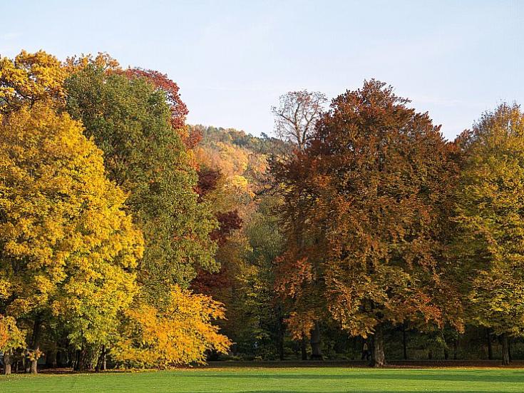 Indian Summer in Franken © Klaus Stebani auf Pixabay