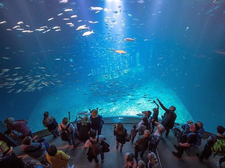 Ozeaneum Stralsund - Saisonabschlussreise auf die Insel Rügen