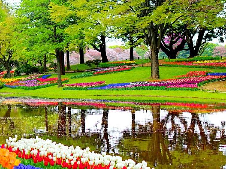 Tulpenblüte im Keukenhof - Busreise nach Holland und Belgien