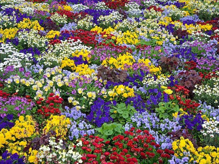 Landesgartenschau Thüringen © sonlandras auf Pixabay