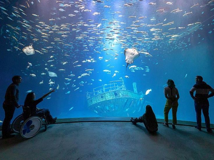 Ozeaneum Stralsund