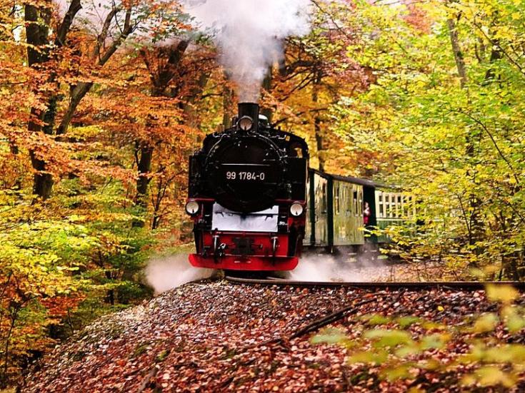 Rasender Roland © Alex Fischer auf Pixabay
