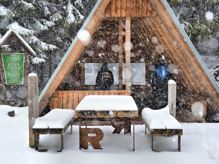 Rundfahrt durch den Thüringer Wald - am Rennsteig © Jenny Shead auf Pixabay
