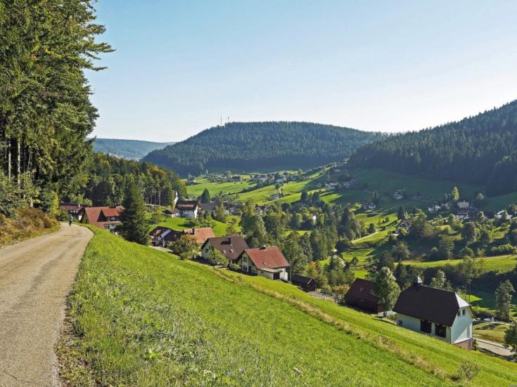 Schwarzwald bei Baiersbronn © Erich Westendarp auf Pixabay