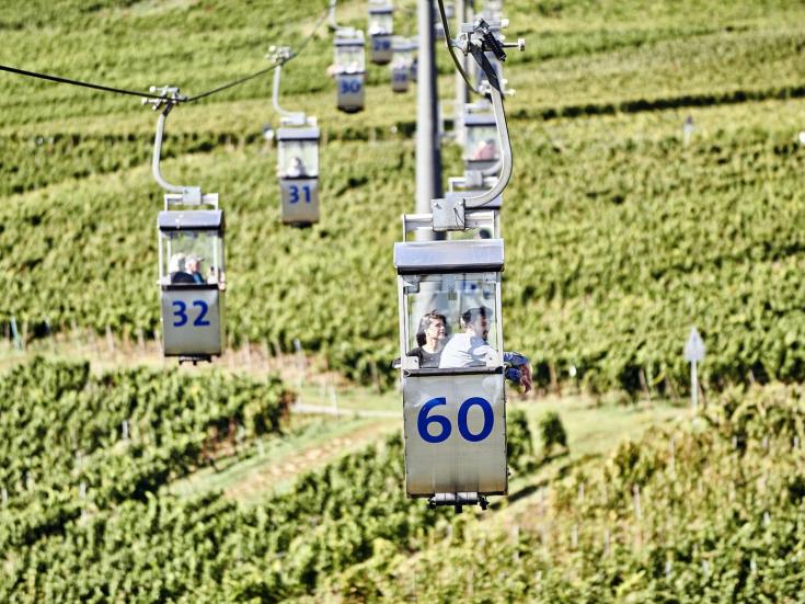 Seilbahn zum Niederwalddenkmal - über Reben schweben