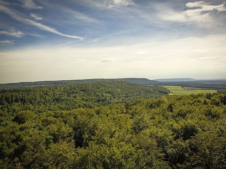 Steigerwald bei Ebrach © Markus Spiske auf Pixabay