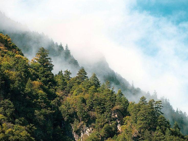 Thüringer Wald © ymyphoto auf Pixabay