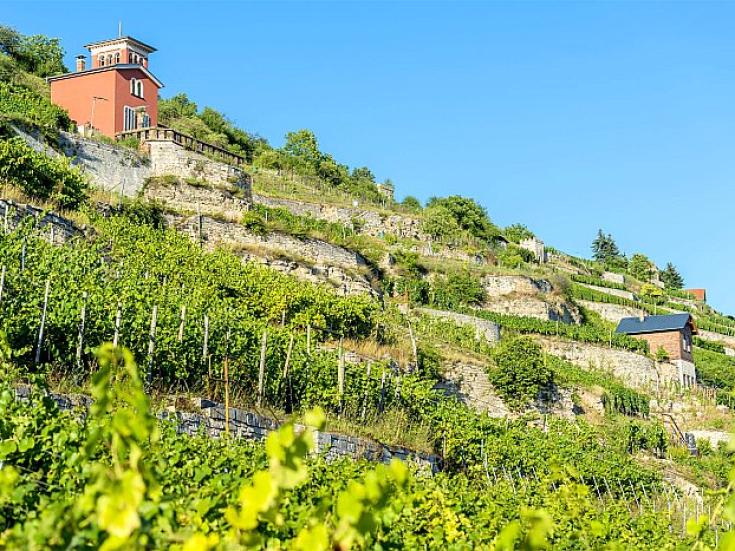 Saale-Unstrut-Wein © Christoph Keller