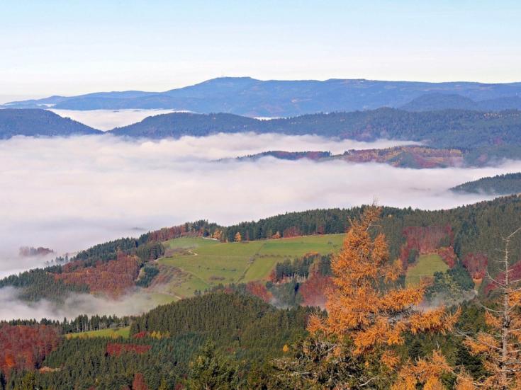 Reise zur Laubfärbung im Schwarzwald