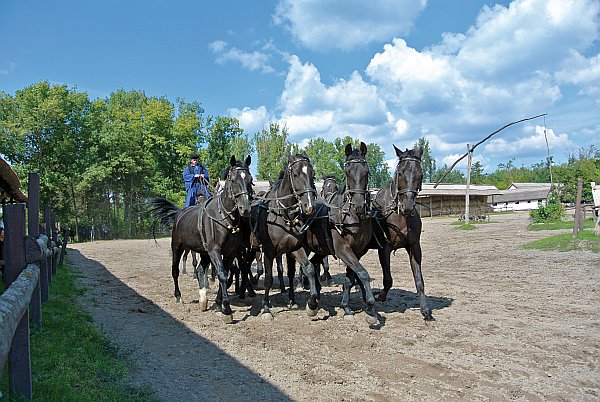 Donau Flusskreuzfahrt