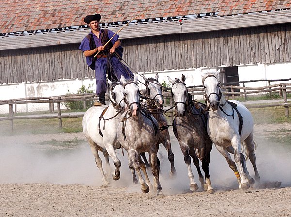 Puszta Ausflug - Flusskreuzfahrt Donau