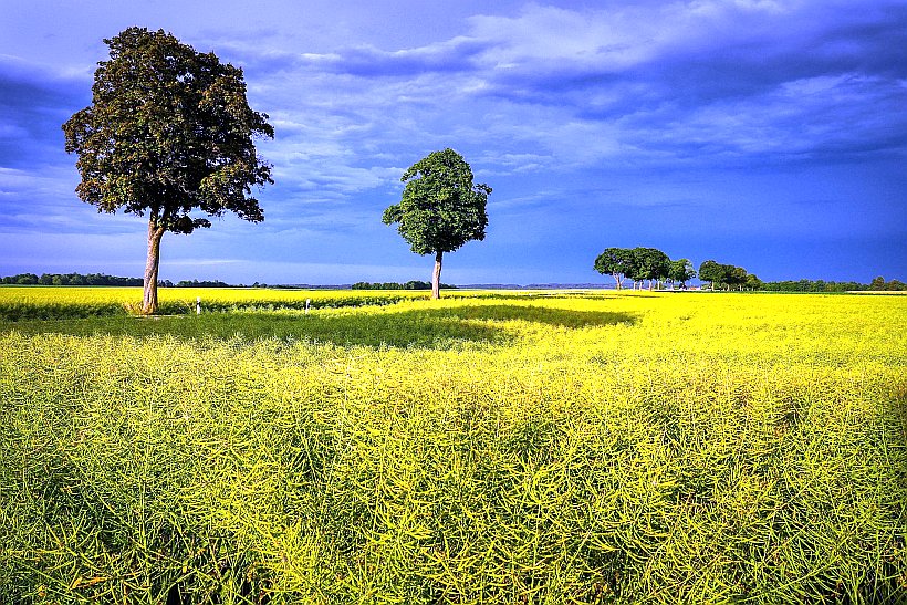 Überraschungsfahrt ins Grüne 18.06.25 Überraschungsfahrt ins Grüne 18.06.25