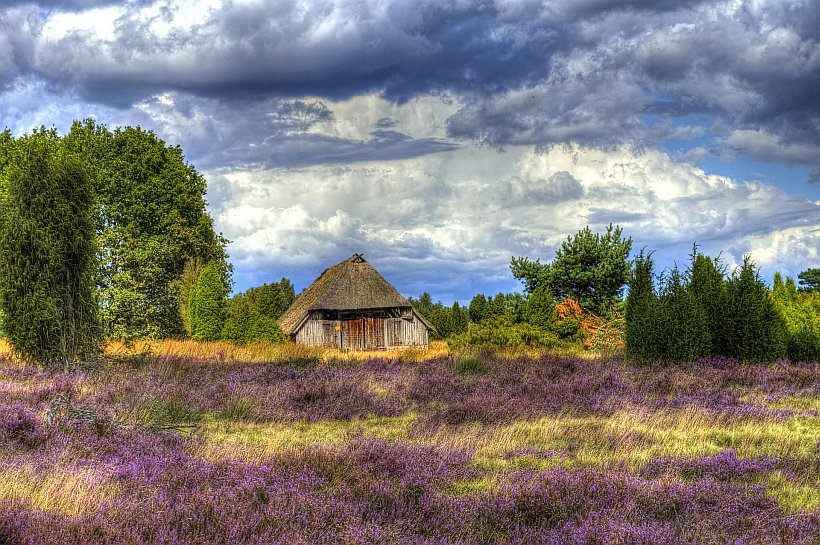 Lüneburger Heide